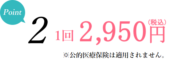 ポイント2 - 1回2,950円(税別)。追加料金一切なし・コース設定なし