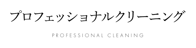 プロフェッショナルクリーニング